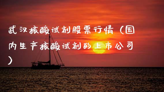武汉核酸试剂股票行情（国内生产核酸试剂的上市公司）_https://www.qdlswl.com_外盘_第1张