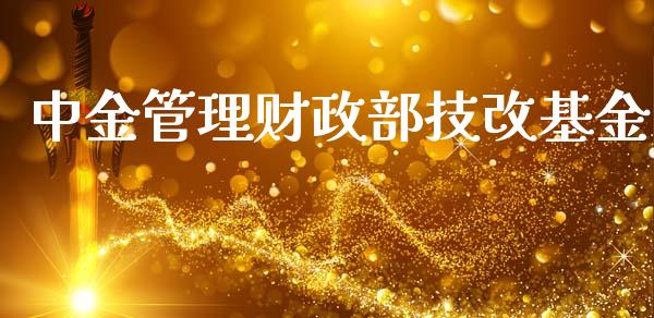 中金管理财政部技改基金_https://www.qdlswl.com_基金_第1张