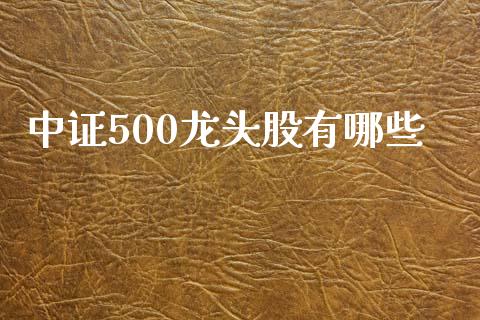 中证500龙头股有哪些_https://www.qdlswl.com_期货_第1张