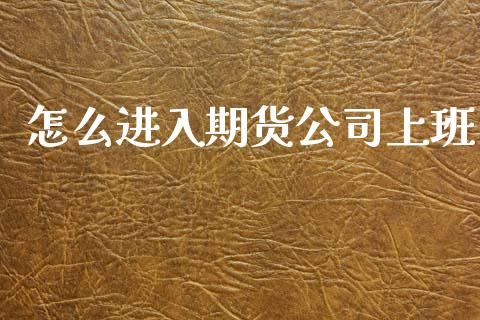 怎么进入期货公司上班_https://www.qdlswl.com_外盘_第1张