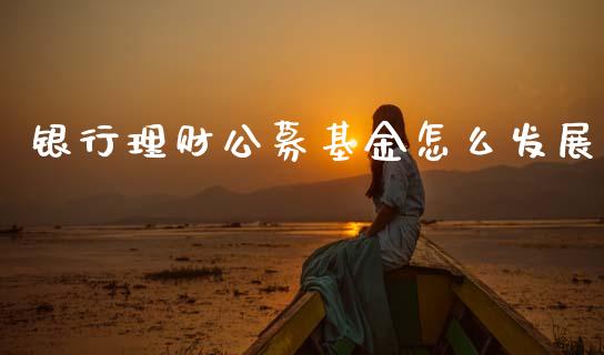 银行理财公募基金怎么发展_https://www.qdlswl.com_理财_第1张