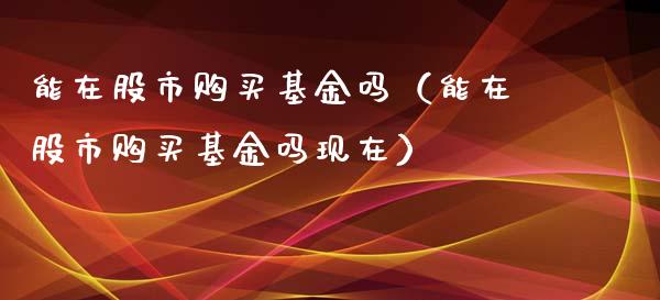 能在股市购买基金吗（能在股市购买基金吗现在）_https://www.qdlswl.com_基金_第1张
