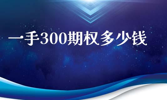 一手300期权多少钱_https://www.qdlswl.com_期货_第1张