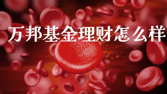 万邦基金理财怎么样_https://www.qdlswl.com_基金_第1张
