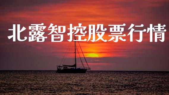 北露智控股票行情_https://www.qdlswl.com_内盘_第1张