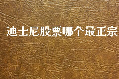 迪士尼股票哪个最正宗_https://www.qdlswl.com_基金_第1张