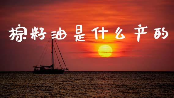 棕籽油是什么产的_https://www.qdlswl.com_股指_第1张