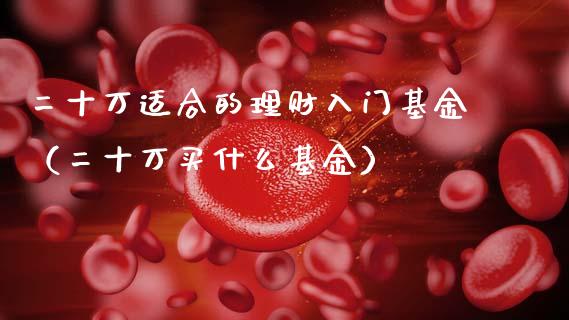 二十万适合的理财入门基金（二十万买什么基金）_https://www.qdlswl.com_理财_第1张