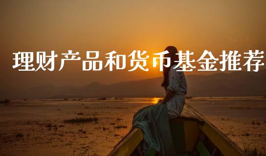 理财产品和货币基金推荐_https://www.qdlswl.com_基金_第1张