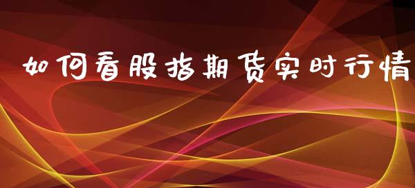 如何看股指期货实时行情_https://www.qdlswl.com_期货_第1张