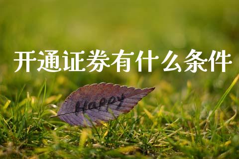 开通证券有什么条件_https://www.qdlswl.com_股票_第1张