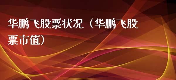 华鹏飞股票状况（华鹏飞股票市值）_https://www.qdlswl.com_股票_第1张