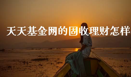 天天基金网的固收理财怎样_https://www.qdlswl.com_基金_第1张