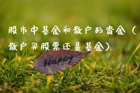 股市中基金和散户的资金（散户买股票还是基金）_https://www.qdlswl.com_理财_第1张