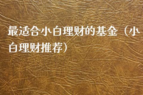 最适合小白理财的基金（小白理财推荐）_https://www.qdlswl.com_基金_第1张