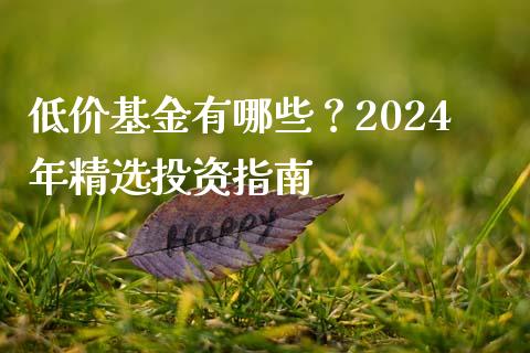 低价基金有哪些？2024年精选投资指南_https://www.qdlswl.com_期货_第1张