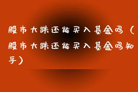 股市大跌还能买入基金吗（股市大跌还能买入基金吗知乎）_https://www.qdlswl.com_基金_第1张
