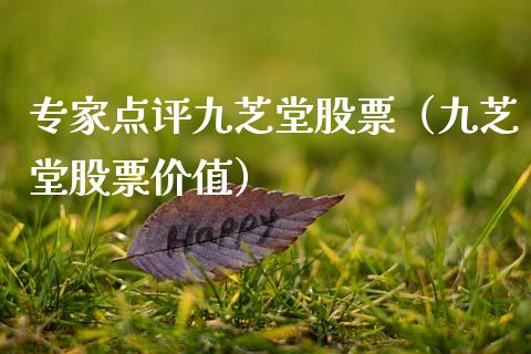 专家点评九芝堂股票（九芝堂股票价值）_https://www.qdlswl.com_内盘_第1张