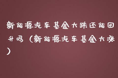 新能源汽车基金大跌还能回升吗（新能源汽车基金大涨）_https://www.qdlswl.com_理财_第1张