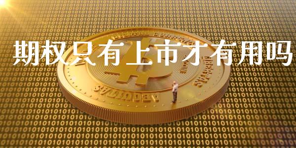 期权只有上市才有用吗_https://www.qdlswl.com_股指_第1张