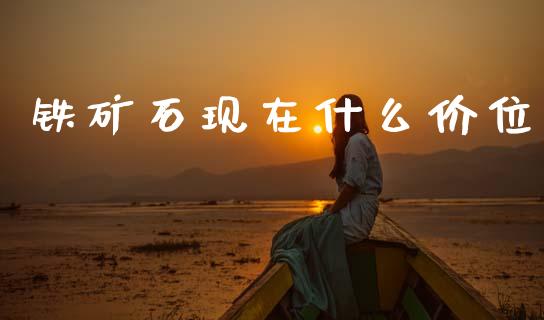 铁矿石现在什么价位_https://www.qdlswl.com_外盘_第1张