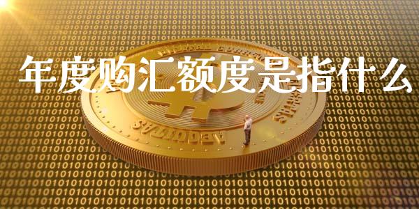 年度购汇额度是指什么_https://www.qdlswl.com_股指_第1张