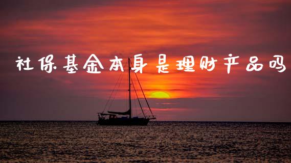 社保基金本身是理财产品吗_https://www.qdlswl.com_理财_第1张