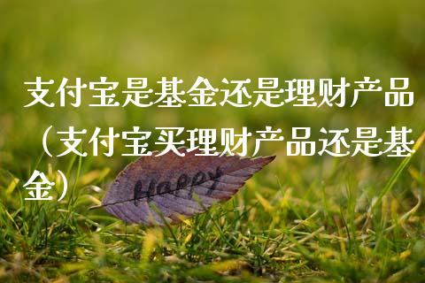 支付宝是基金还是理财产品（支付宝买理财产品还是基金）_https://www.qdlswl.com_基金_第1张