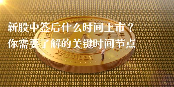 新股中签后什么时间上市？你需要了解的关键时间节点_https://www.qdlswl.com_股票_第1张