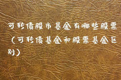 可转债股市基金有哪些股票（可转债基金和股票基金区别）_https://www.qdlswl.com_理财_第1张