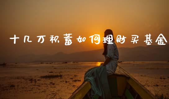 十几万积蓄如何理财买基金_https://www.qdlswl.com_基金_第1张