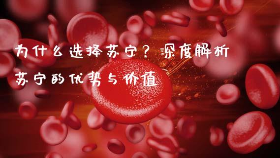 为什么选择苏宁？深度解析苏宁的优势与价值_https://www.qdlswl.com_基金_第1张