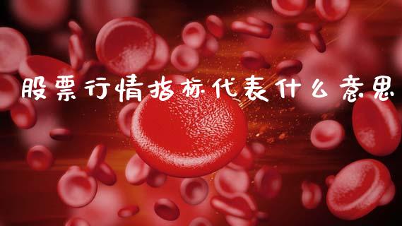 股票行情指标代表什么意思_https://www.qdlswl.com_外盘_第1张