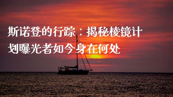 斯诺登的行踪：揭秘棱镜计划曝光者如今身在何处_https://www.qdlswl.com_基金_第1张
