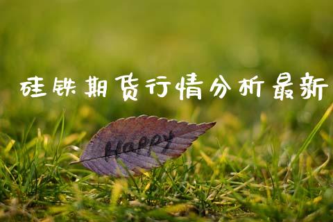硅铁期货行情分析最新_https://www.qdlswl.com_期货_第1张