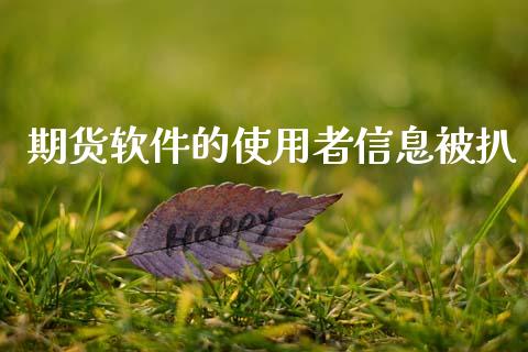 期货软件的使用者信息被扒_https://www.qdlswl.com_股指_第1张