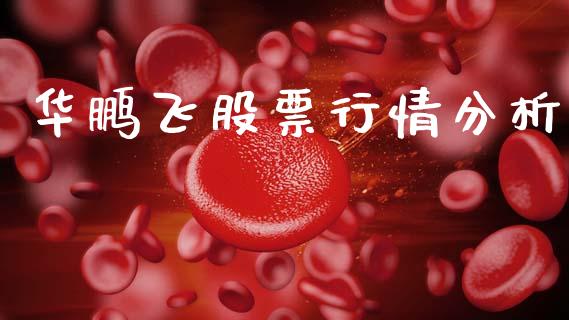 华鹏飞股票行情分析_https://www.qdlswl.com_内盘_第1张