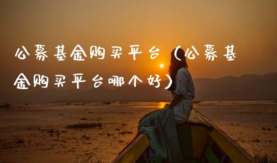 公募基金购买平台（公募基金购买平台哪个好）_https://www.qdlswl.com_理财_第1张