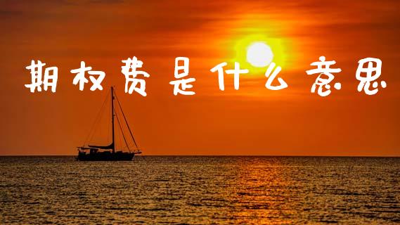 期权费是什么意思_https://www.qdlswl.com_期货_第1张