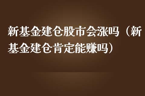 新基金建仓股市会涨吗（新基金建仓肯定能赚吗）_https://www.qdlswl.com_基金_第1张