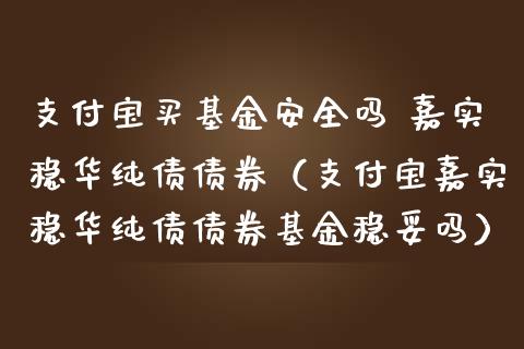 支付宝买基金安全吗 嘉实稳华纯债债券（支付宝嘉实稳华纯债债券基金稳妥吗）_https://www.qdlswl.com_理财_第1张