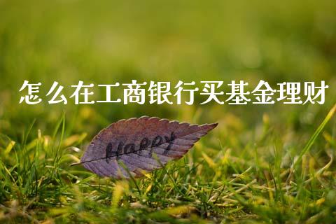 怎么在工商银行买基金理财_https://www.qdlswl.com_基金_第1张