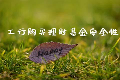 工行购买理财基金安全性_https://www.qdlswl.com_理财_第1张