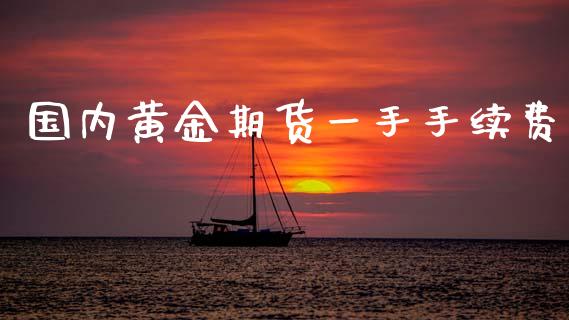 国内黄金期货一手手续费_https://www.qdlswl.com_股指_第1张