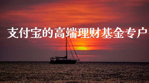 支付宝的高端理财基金专户_https://www.qdlswl.com_基金_第1张