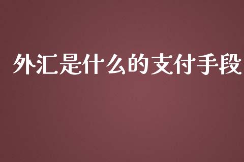 外汇是什么的支付手段_https://www.qdlswl.com_股指_第1张