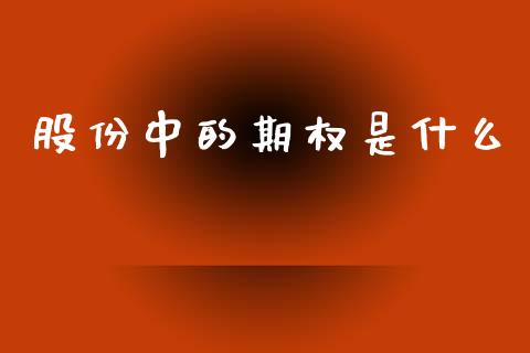 股份中的期权是什么_https://www.qdlswl.com_内盘_第1张