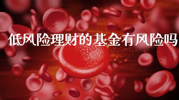 低风险理财的基金有风险吗_https://www.qdlswl.com_理财_第1张