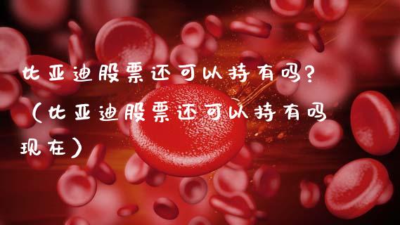 比亚迪股票还可以持有吗?（比亚迪股票还可以持有吗现在）_https://www.qdlswl.com_外盘_第1张