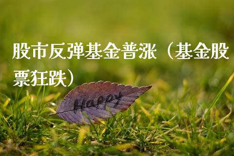 股市反弹基金普涨（基金股票狂跌）_https://www.qdlswl.com_理财_第1张